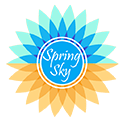 spring sky - techup technologies digital marketing client